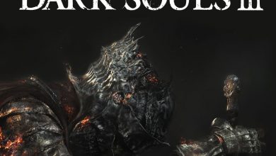 ds3