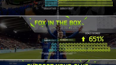 Leicester_infografika.jpg