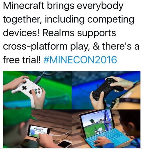 Minecraft_crossplay.jpg