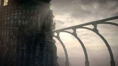 Shadow of the Colossus PlayStation 4 Pro
