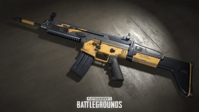 scar-l.jpg